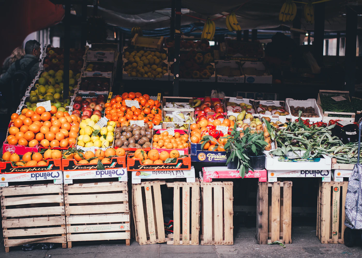 Frutas y vegetales frescos organizados en cajas para su selección