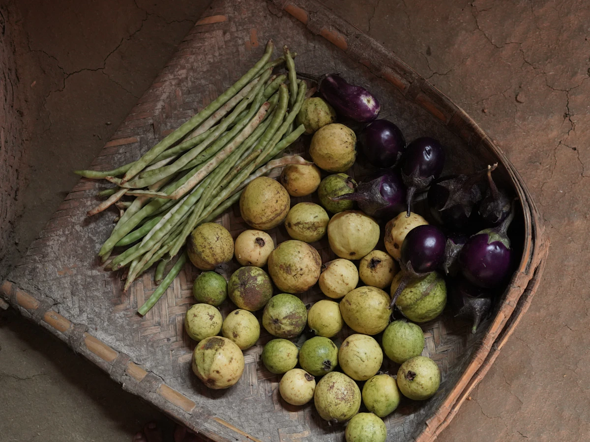 Canasta con vegetales frescos y coloridos